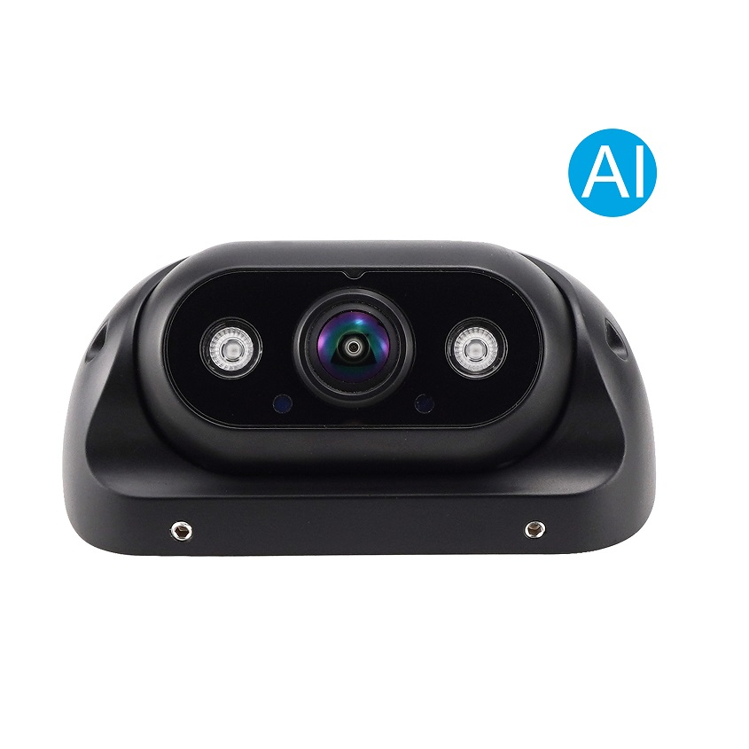 Pedestrian and Vehicle detection AI camera